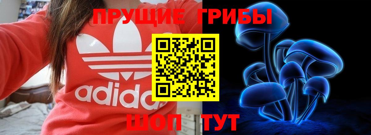 Великий Устюг  Галлюциногенные грибы Cubensis  Галлюциногенные грибы мухоморы  Вход с VPN 